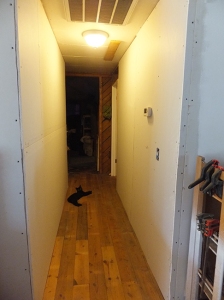 A view down the hall, facing West… the only thing to trip over is our new no-longer-stray cat, Squid.