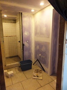 Said future master bath in process, long wall will have granite counter with glass vessel sink, toilet goes in to the nook to the right of that.