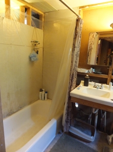 and left side of temporary main bath